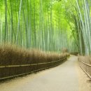 나무랑 풀이랑 이미지