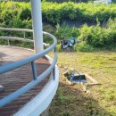 가산농약사 이미지