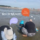 방아머리해변 화장실 | [경기/안산]방아머리해변 조개캐기 체험 후기 _무료 주차에 편의시설까지 완비! 가족과 함께한 즐거운...