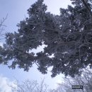 살아생전 이미지