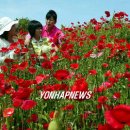 함평자연생태공원 이미지