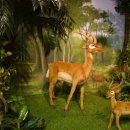 아프리카 박물관 이미지