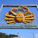 영덕군 시설체육사업소(해맞이공원) | [경상북도 영덕군] 삼사해상공원·삼사해상산책로 - 전 견종 가능 · 맹견 입마개 · 목줄 착용 · 배변...