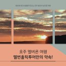 홀릭여행사