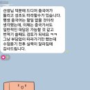 샤라쌤중국어