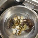 마검포레져하우스 | 태안 해루질 펜션, 초보자 야간 해루질 후기와 꿀팁 (마검포 레져하우스)