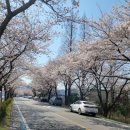 섬진강식당 이미지