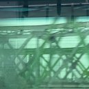 2024 밴드데이 “청춘의 기록” 이미지