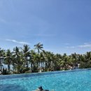 오브스파(aube spa) | 푸꾸옥 라페스타 힐튼 프라이빗 비치 및 부대시설 (헬스장, eforea Spa,수영장) , 조식 후기