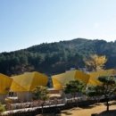 모아이펜션，모아이카페