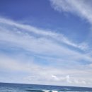 그리드렌트카 | 하와이 여행 Pololu Valley 폴롤루 계곡 전망대 하이킹 트래킹 후기