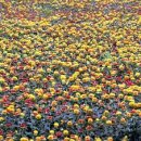 탑리농장 이미지