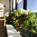 풍무자동차정비센터 이미지