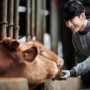 함양동물병원 이미지