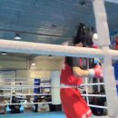 화랑 (권투) 이미지