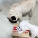 다온펫푸드 이미지