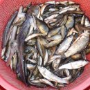 여러가지장터 이미지