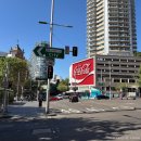 (주)투온씨씨 | 호주 시드니 일상: 투굿투고, 브레빌 876 씨솔트, 애프터페이