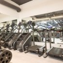 엑스퍼티짐 이미지