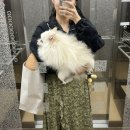 알래즈(Alaise)