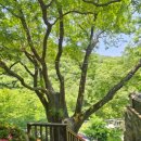 신흥사 약수터 이미지