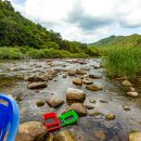 예솔누리 이미지