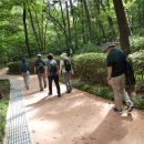 260714 혜지님과 함께한 "강동구, 일자산 치유의 숲" 이미지