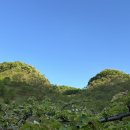 두봉농장 이미지