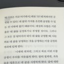 시월의고양이