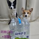 청정골 | (물 추천)무라벨 청정골 지리산수 물 후기