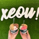 동이마을 지역상징물 | [공지] 3️⃣ 산티아고 프랑스길 알베르게 후기 및 추천 (25.10 ver) | 폰페라다~산티아고