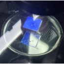 미래자동차유리 이미지