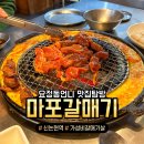 신마포갈매기 이미지