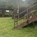 내원야영장 | 부산 근교 산청 지리산 내원야영장 카라반 후기