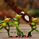 탑 휘트니스 클럽 이미지