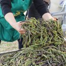 남원읍-29 이미지