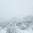 겨울왕국 계방산의 雪景~. 이미지