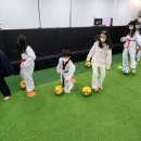 시온태권도장 이미지