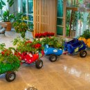 허브밸리(암석원) 이미지