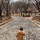 까치산근린공원 | 2026 어린이 가족 예술축제 <톡톡> 양천구 행사 서서울호수공원 안내