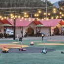 스테이107 이미지