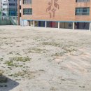 이리부송초등학교