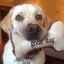 우리좋은약국 이미지