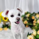 도꾸살롱 이미지