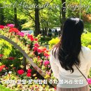 시간을 들이다 동탄점 | 고양꽃박람회 봄나들이 데이트 주차 포토존 먹거리