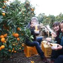 성일농장2 이미지