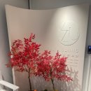 예젤유의원 이미지