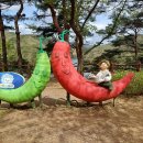 공일오 Daum카페