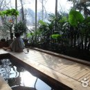 수락산 편백원 이미지