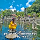 발리 공항 픽업 샌딩 렌트카까지 가능한 핀콕트립 가격 이용후기